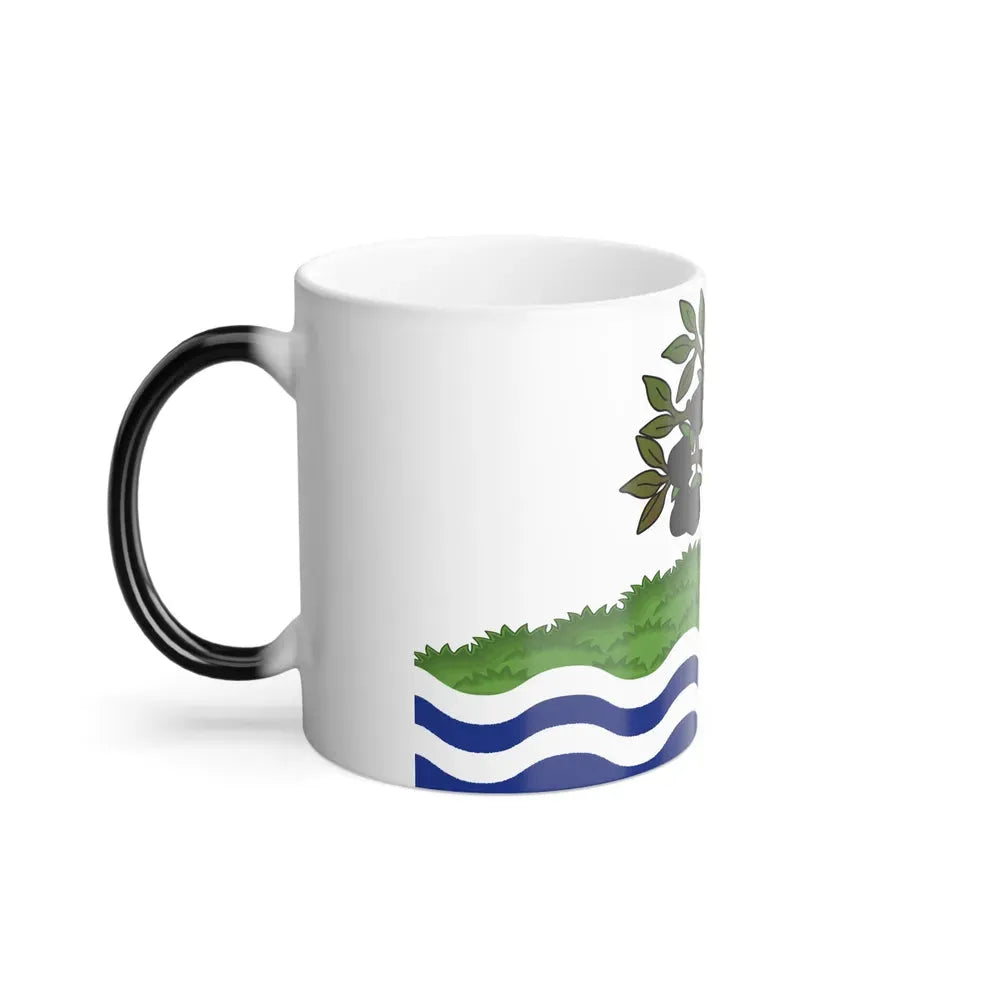 Flag of Worcestershire UK - Color Changing Coffee Mug - Go Mug Yourself