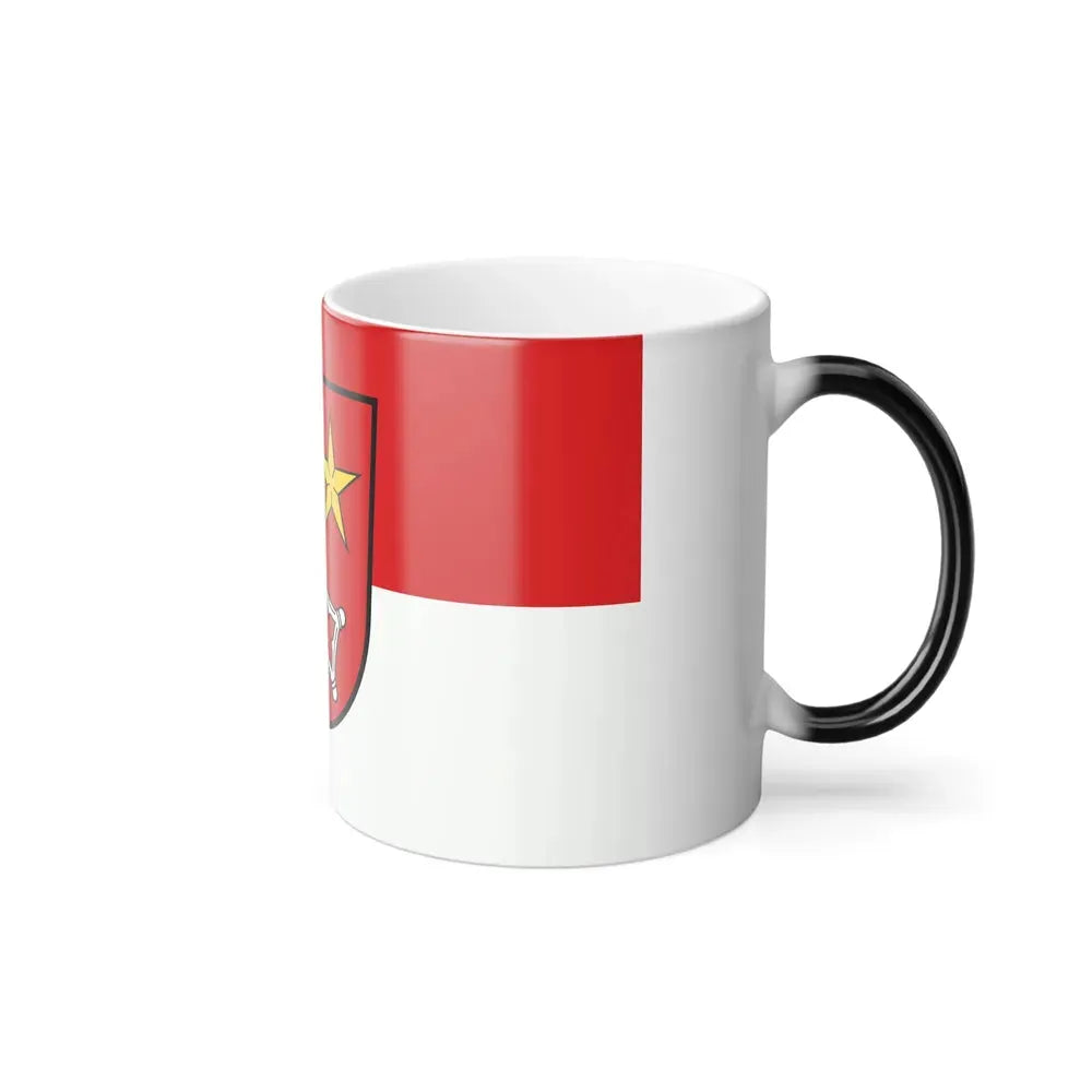Flag of Worms Germany - Color Changing Coffee Mug - Go Mug Yourself