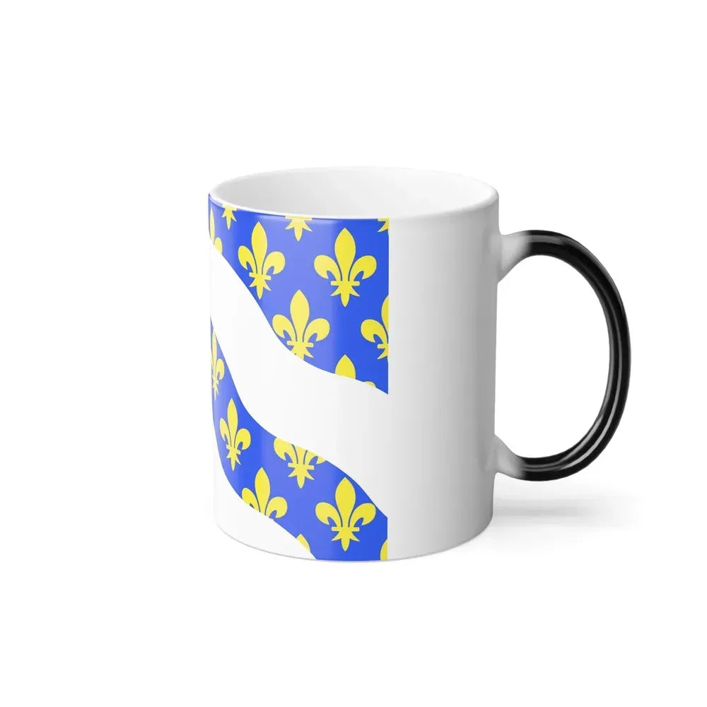 Flag of Yvelines France - Color Changing Coffee Mug - Go Mug Yourself