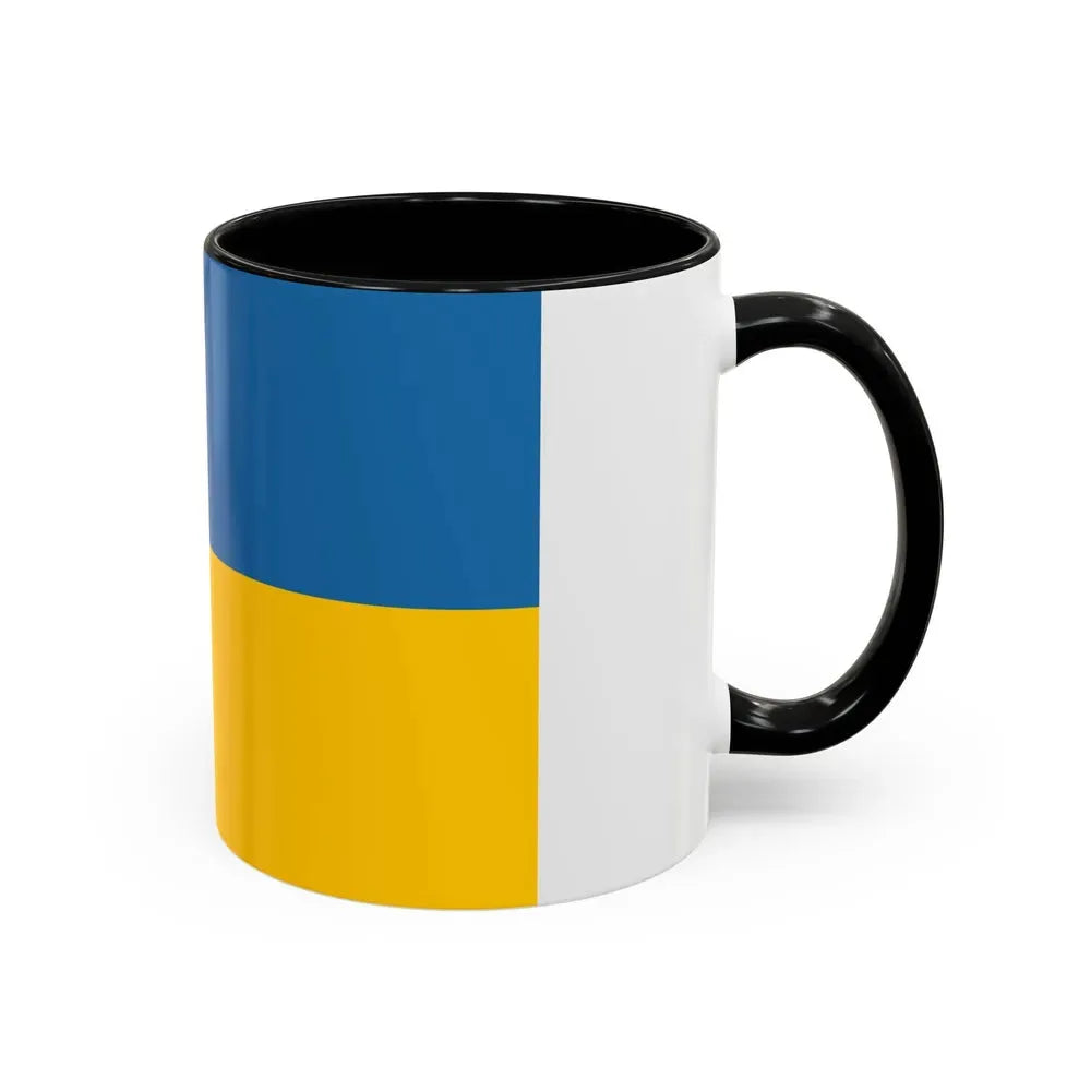 Flag of Zakarpattia Oblast Ukraine - Accent Coffee Mug - Go Mug Yourself