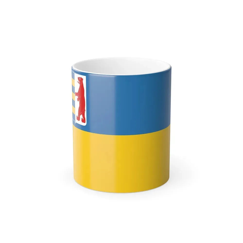 Flag of Zakarpattia Oblast Ukraine - Color Changing Coffee Mug 11oz - Go Mug Yourself
