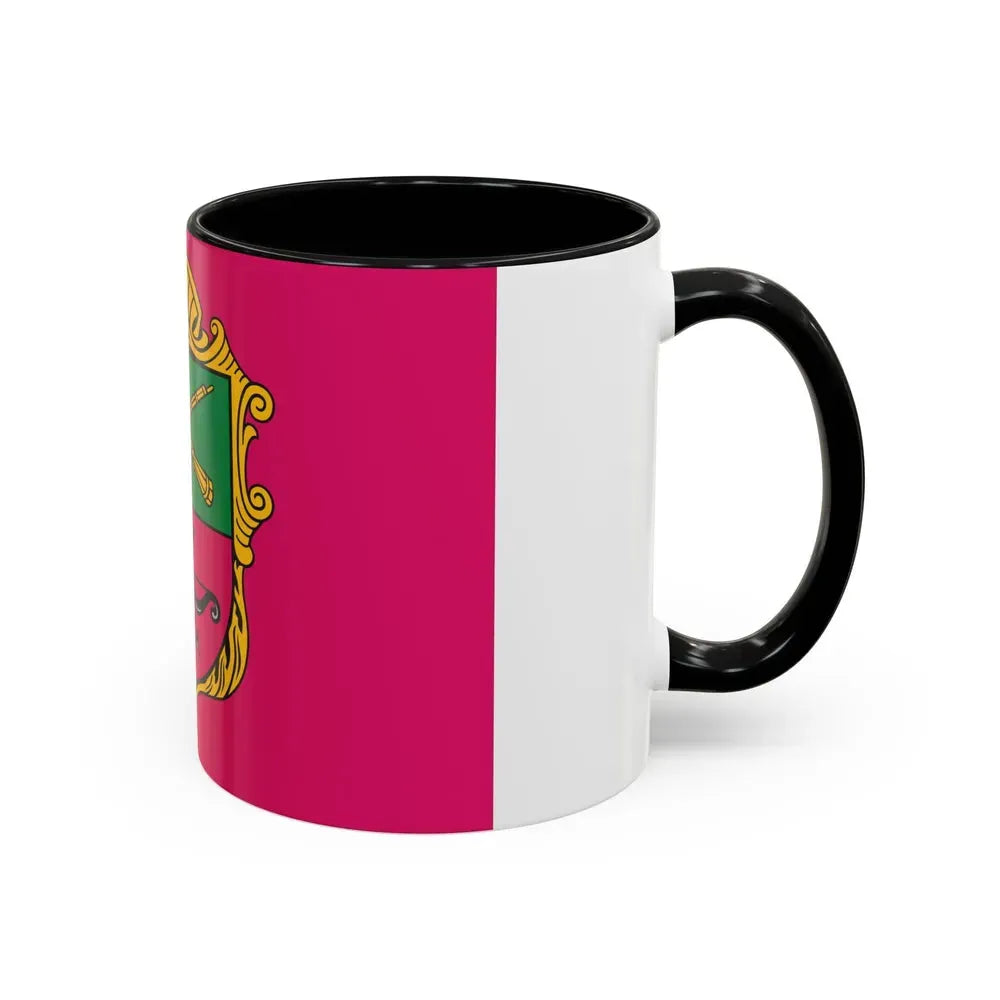 Flag of Zaporizhzhia Ukraine - Accent Coffee Mug - Go Mug Yourself