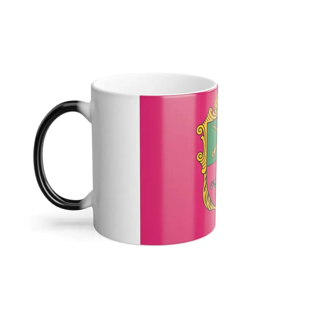 Flag of Zaporizhzhia Ukraine - Color Changing Coffee Mug - Go Mug Yourself
