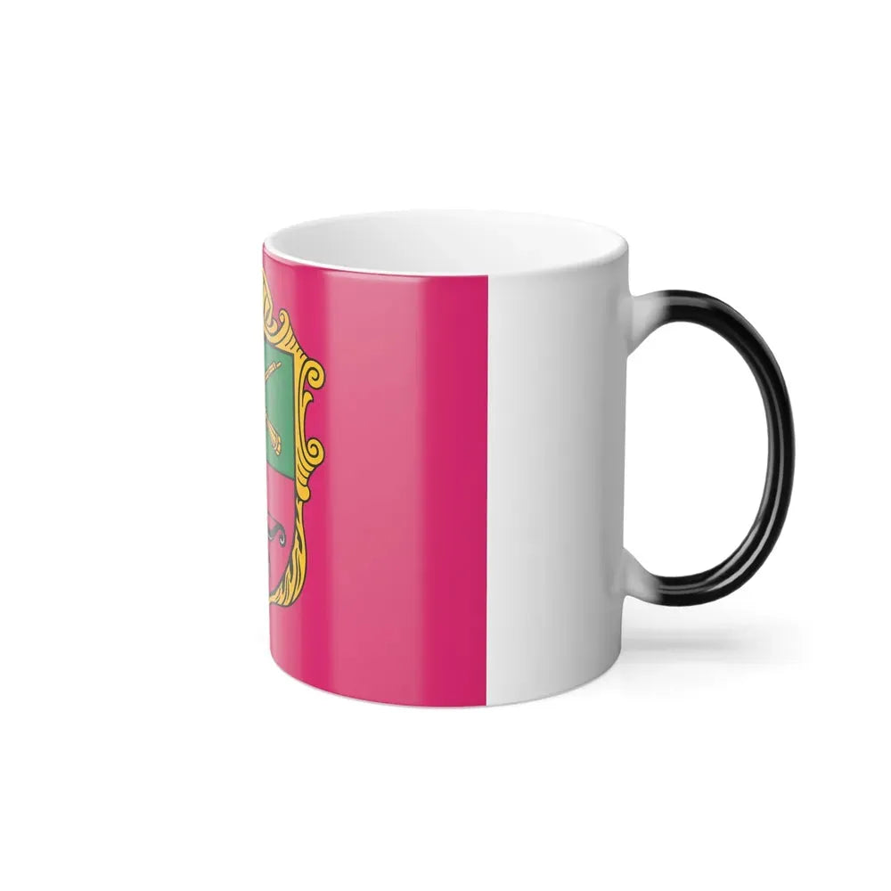 Flag of Zaporizhzhia Ukraine - Color Changing Coffee Mug - Go Mug Yourself