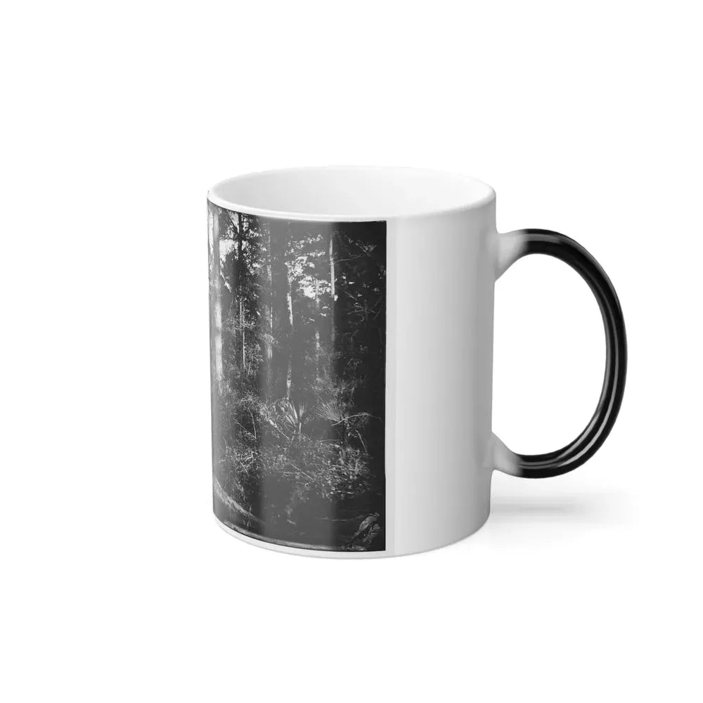 Folly Island, South Carolina (U.S. Civil War) Color Changing Coffee Mug 11oz - Go Mug Yourself