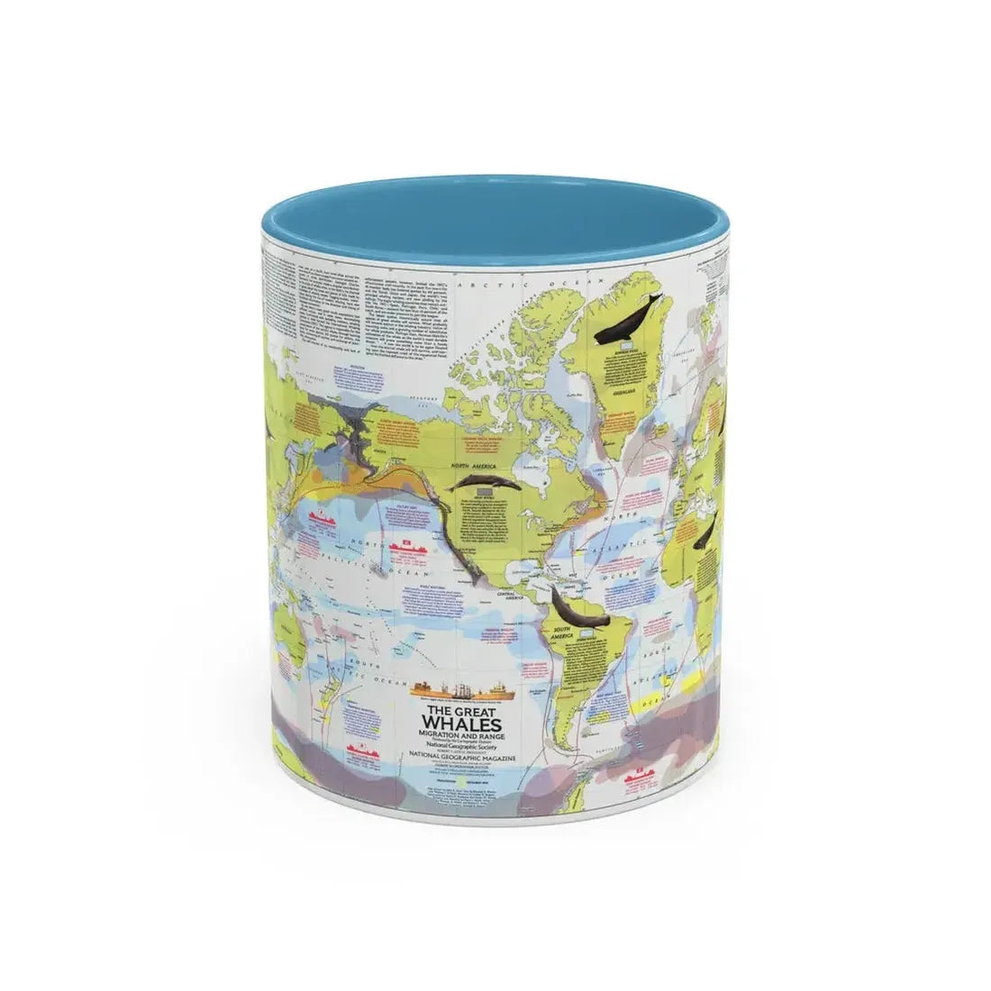 Great Whales, Migration and Range (1976) (Map) Accent Coffee Mug 11oz Light Blue - Go Mug Yourself