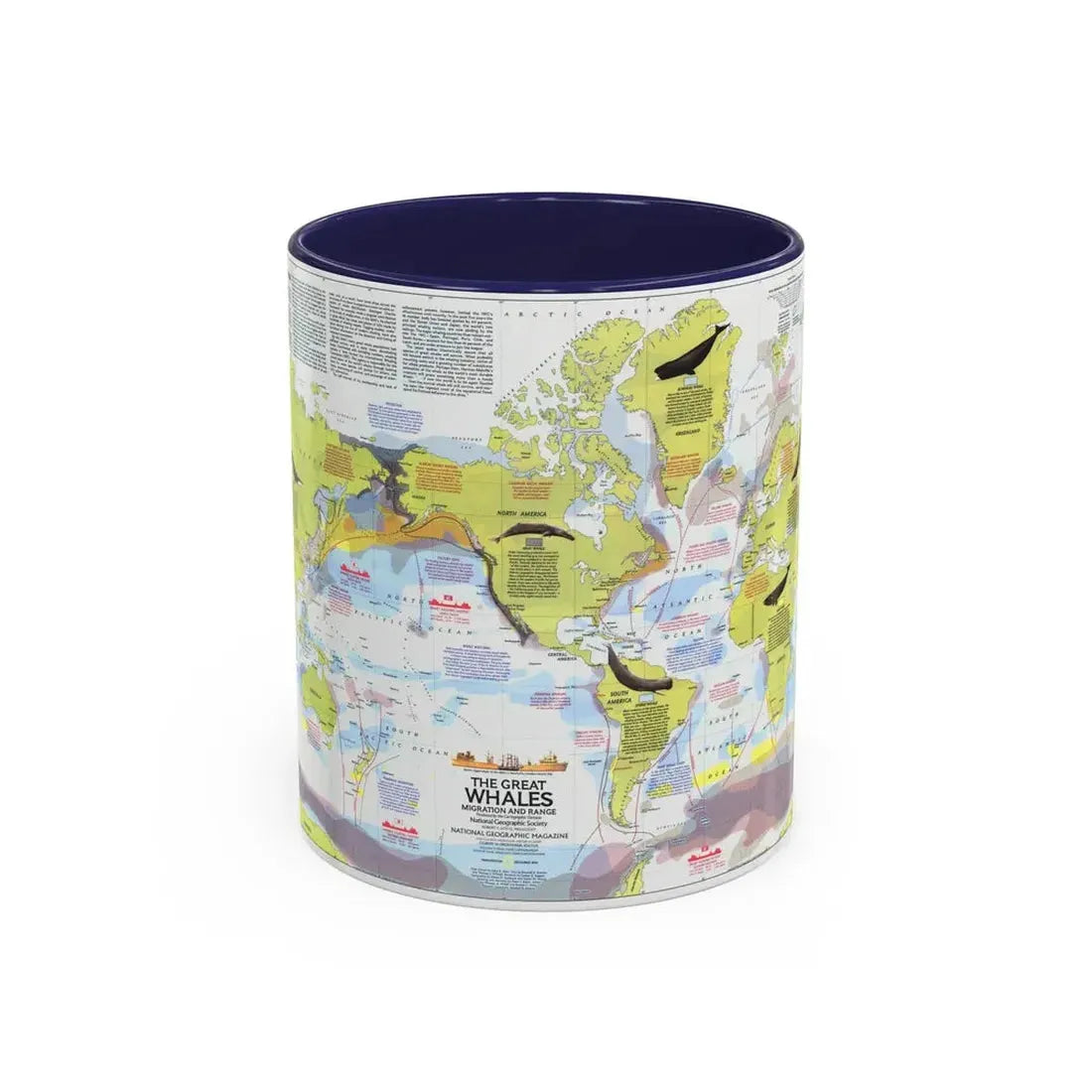 Great Whales, Migration and Range (1976) (Map) Accent Coffee Mug 11oz Navy - Go Mug Yourself
