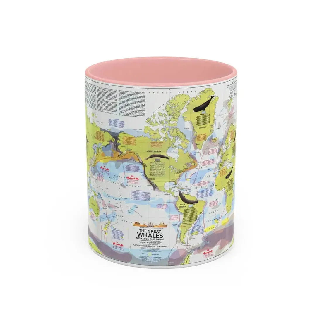 Great Whales, Migration and Range (1976) (Map) Accent Coffee Mug 11oz Pink - Go Mug Yourself