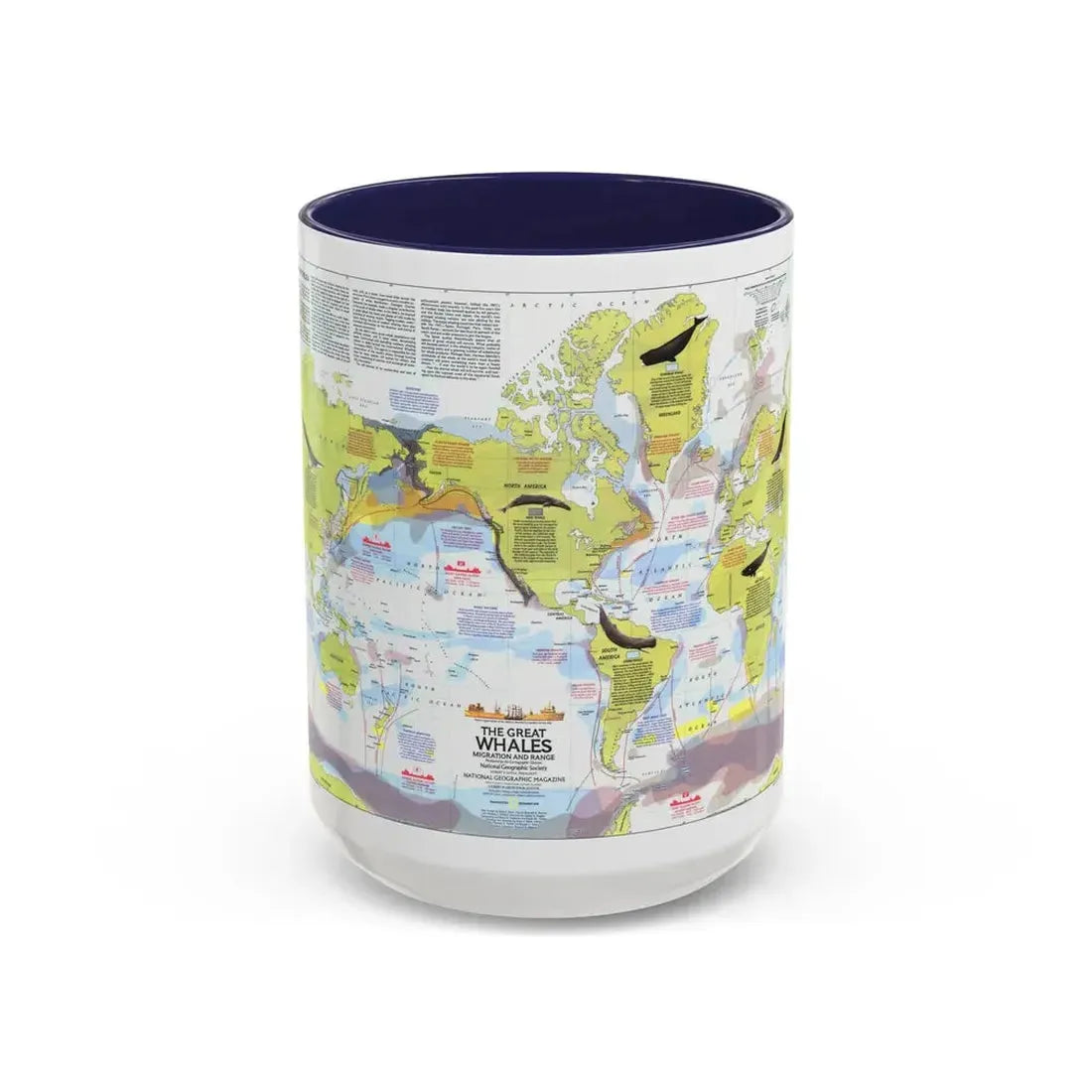 Great Whales, Migration and Range (1976) (Map) Accent Coffee Mug 15oz Navy - Go Mug Yourself