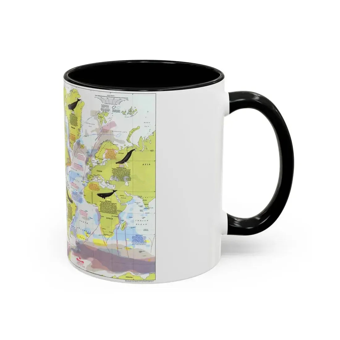 Great Whales, Migration and Range (1976) (Map) Accent Coffee Mug - Go Mug Yourself