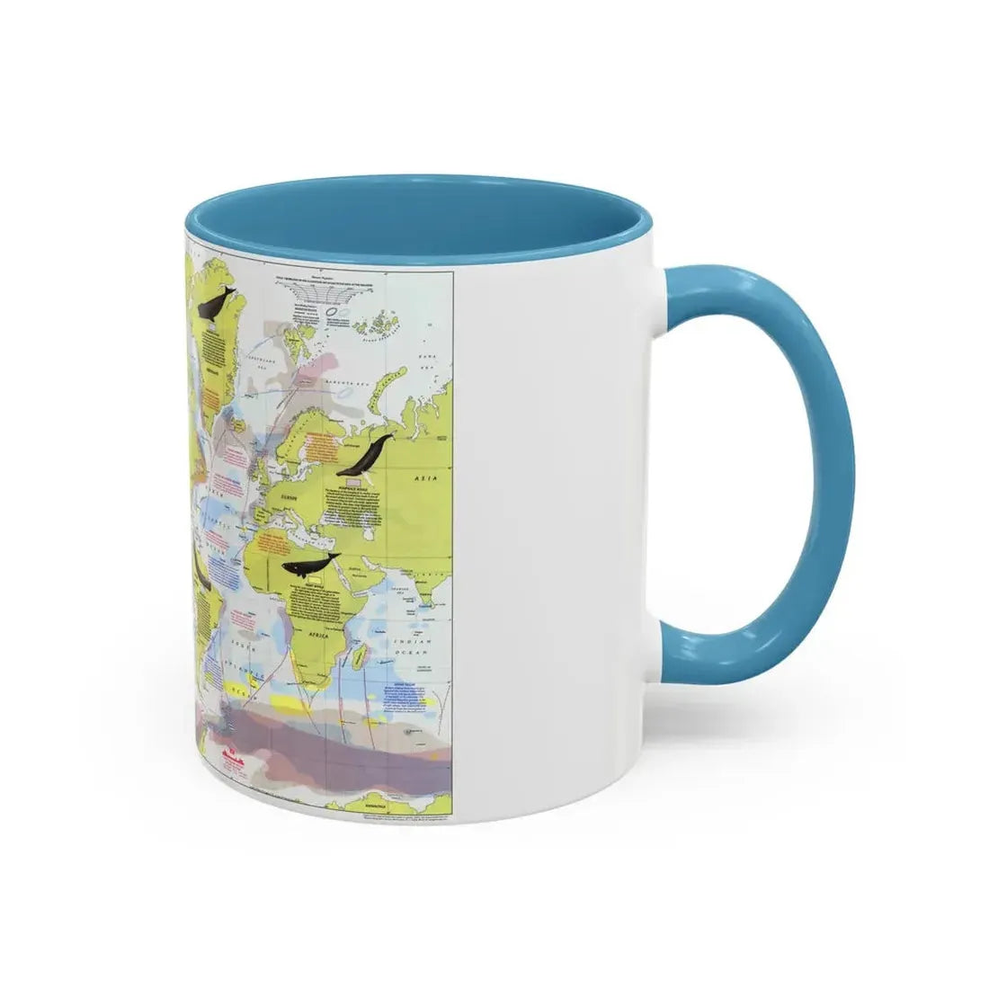 Great Whales, Migration and Range (1976) (Map) Accent Coffee Mug - Go Mug Yourself