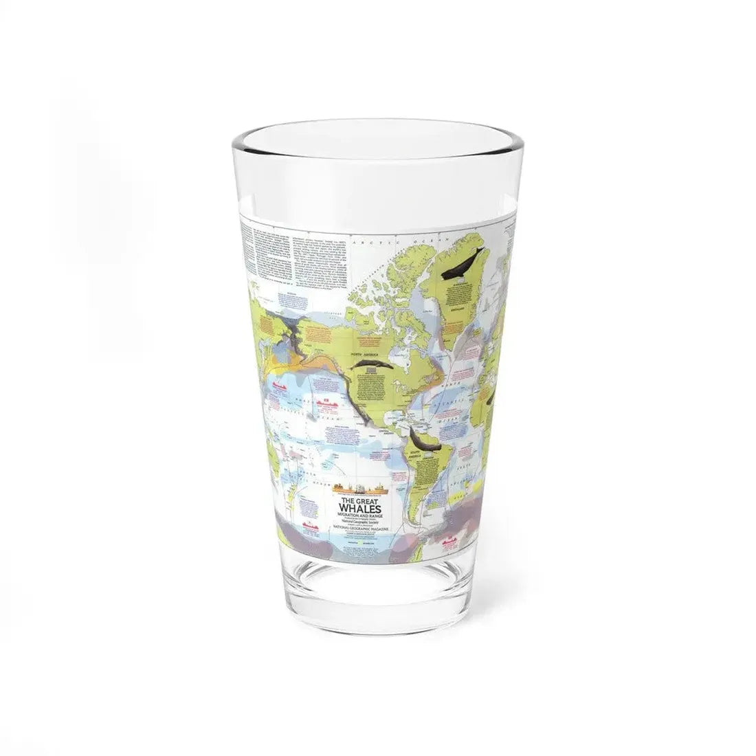 Great Whales, Migration and Range (1976) (Map) Pint Glass 16oz 16oz - Go Mug Yourself