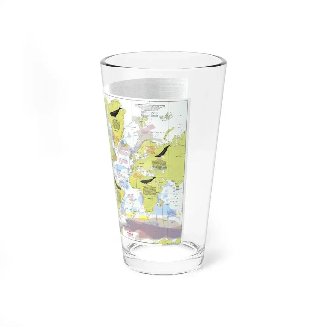 Great Whales, Migration and Range (1976) (Map) Pint Glass 16oz - Go Mug Yourself