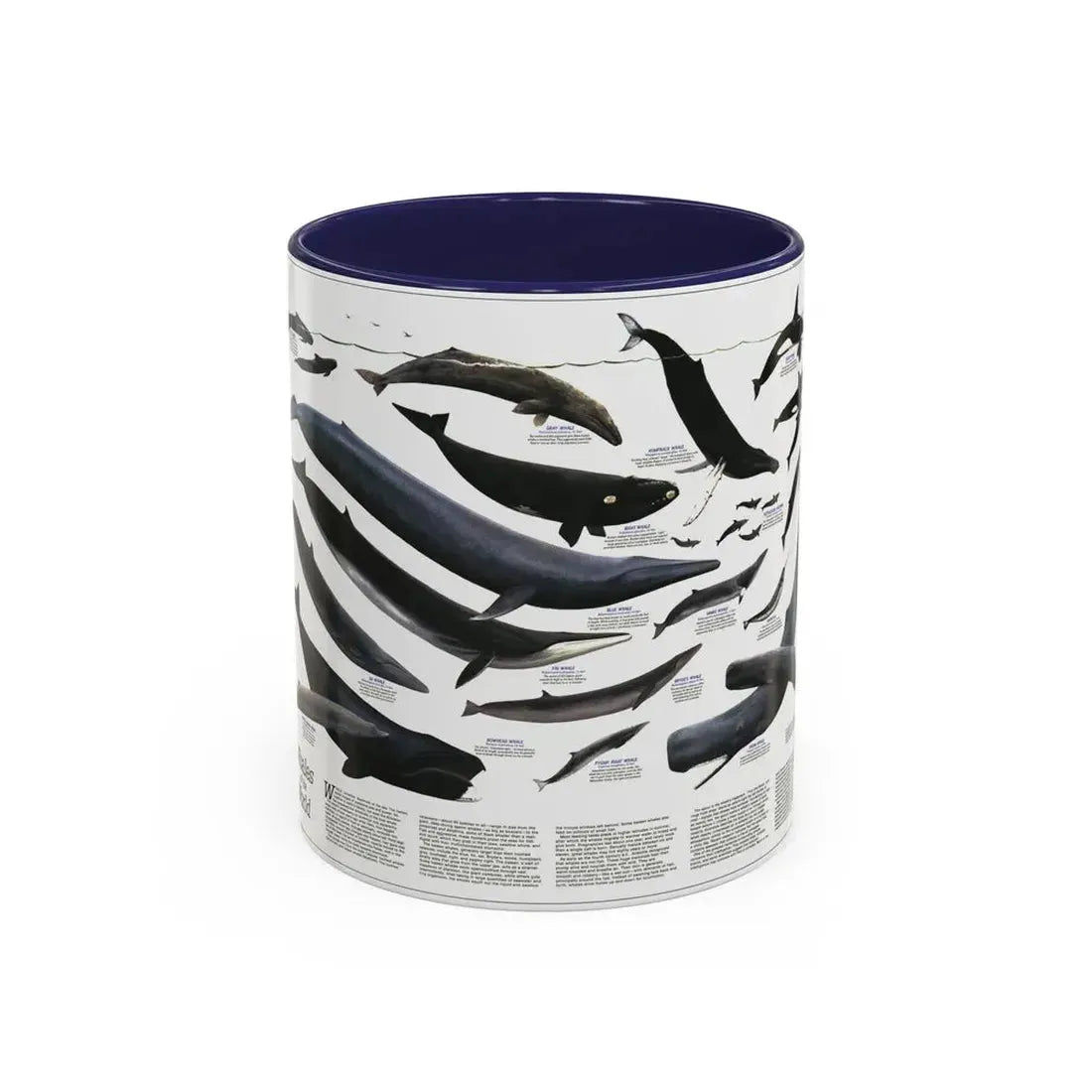Great Whales of the World (1976) (Map) Accent Coffee Mug 11oz Navy - Go Mug Yourself