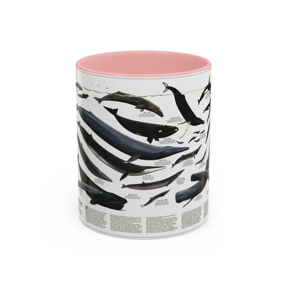 Great Whales of the World (1976) (Map) Accent Coffee Mug 11oz Pink - Go Mug Yourself