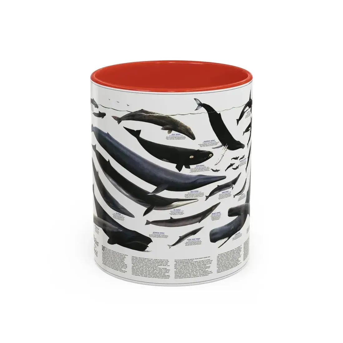 Great Whales of the World (1976) (Map) Accent Coffee Mug 11oz Red - Go Mug Yourself