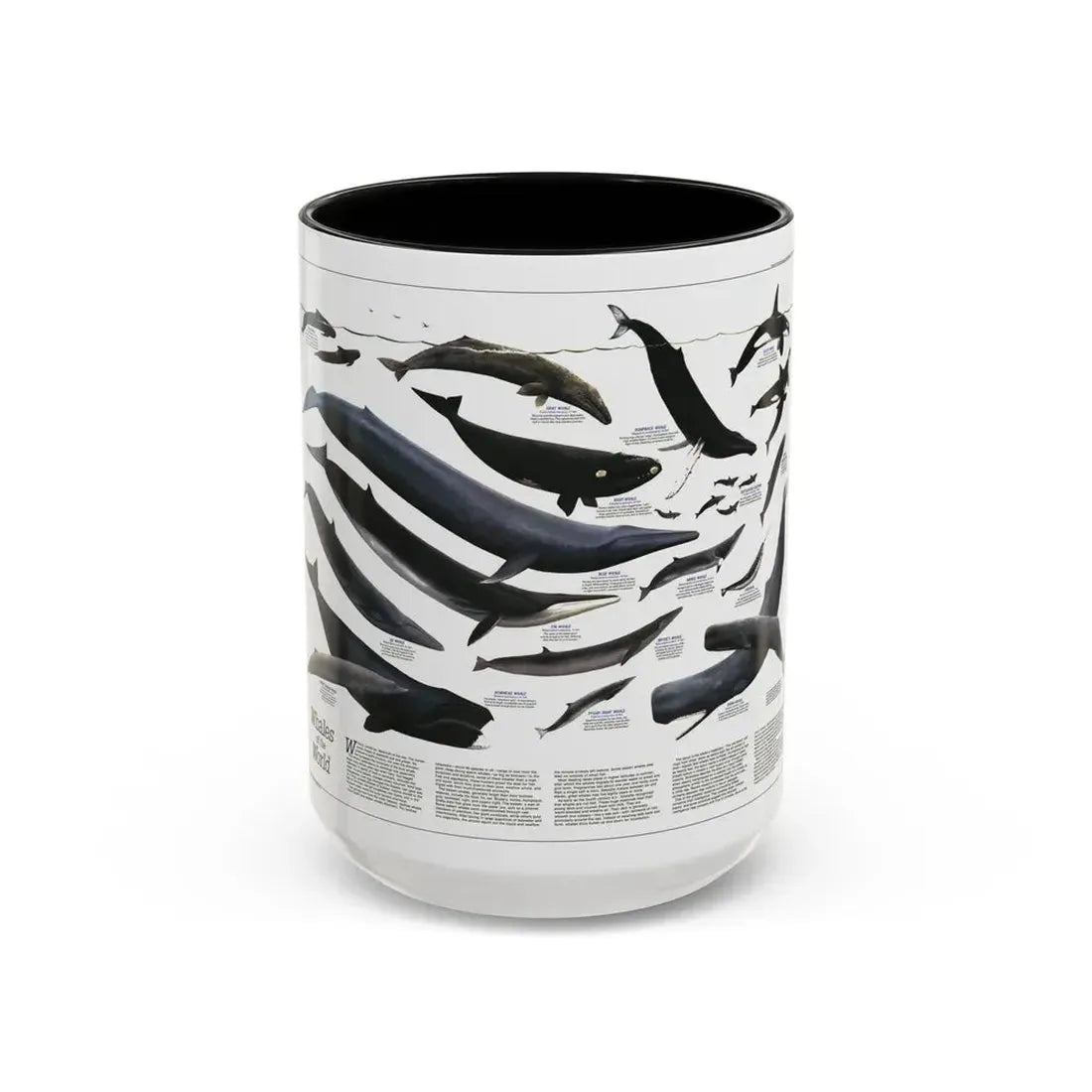 Great Whales of the World (1976) (Map) Accent Coffee Mug 15oz Black - Go Mug Yourself