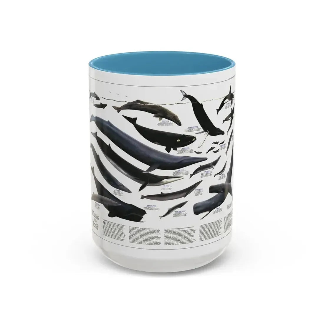 Great Whales of the World (1976) (Map) Accent Coffee Mug 15oz Light Blue - Go Mug Yourself