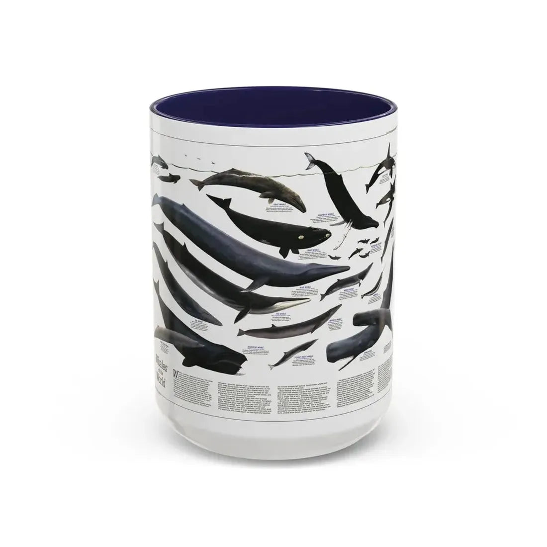 Great Whales of the World (1976) (Map) Accent Coffee Mug 15oz Navy - Go Mug Yourself