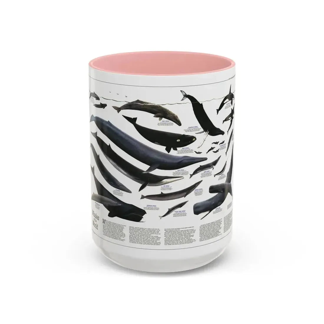 Great Whales of the World (1976) (Map) Accent Coffee Mug 15oz Pink - Go Mug Yourself