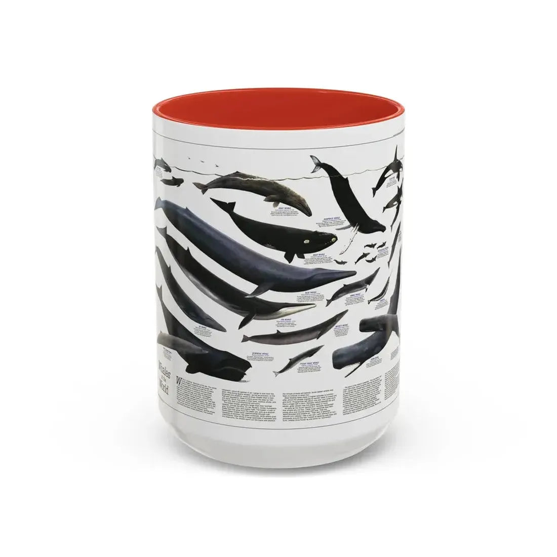 Great Whales of the World (1976) (Map) Accent Coffee Mug 15oz Red - Go Mug Yourself