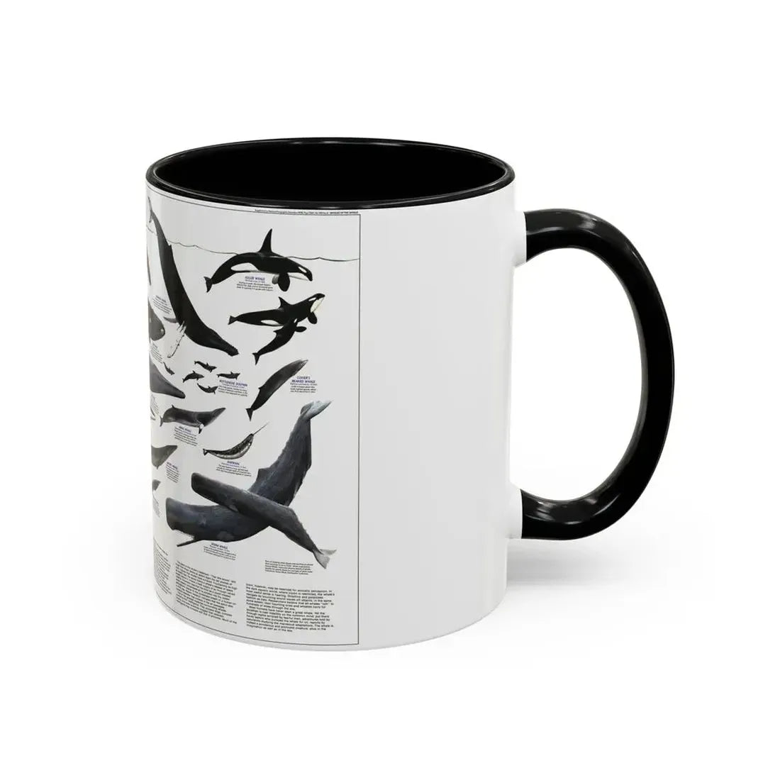 Great Whales of the World (1976) (Map) Accent Coffee Mug - Go Mug Yourself