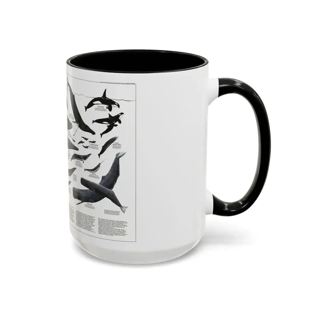 Great Whales of the World (1976) (Map) Accent Coffee Mug - Go Mug Yourself