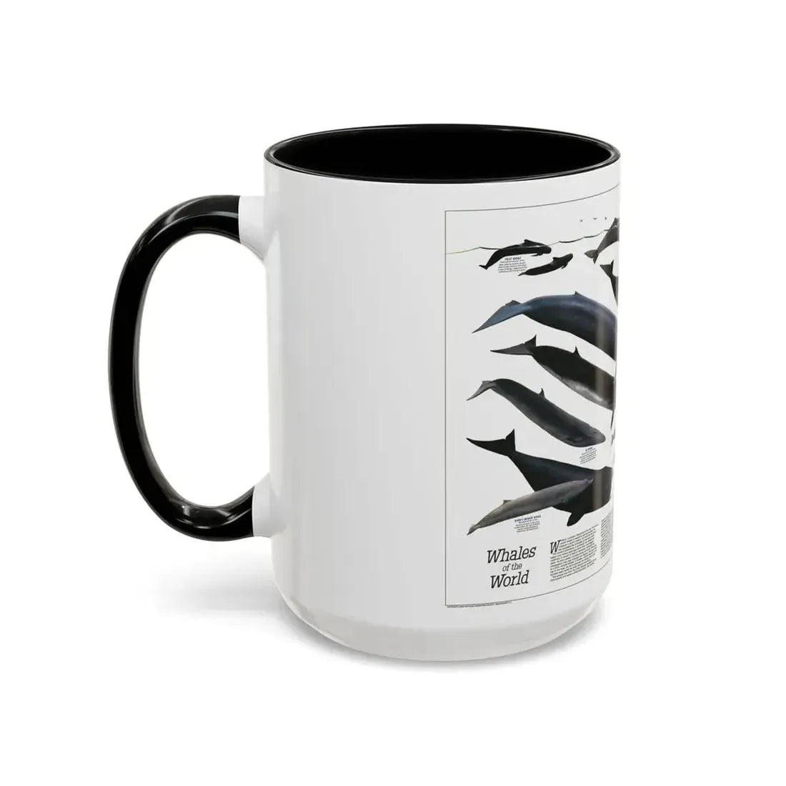 Great Whales of the World (1976) (Map) Accent Coffee Mug - Go Mug Yourself