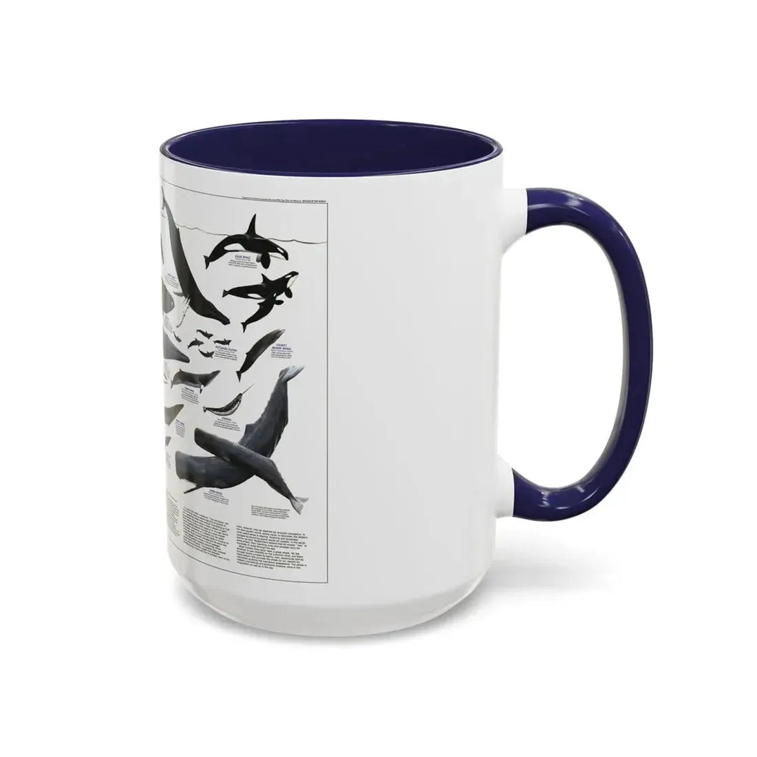 Great Whales of the World (1976) (Map) Accent Coffee Mug - Go Mug Yourself