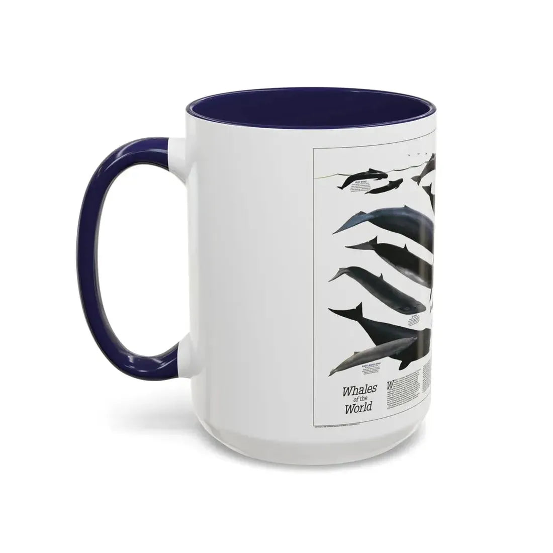 Great Whales of the World (1976) (Map) Accent Coffee Mug - Go Mug Yourself