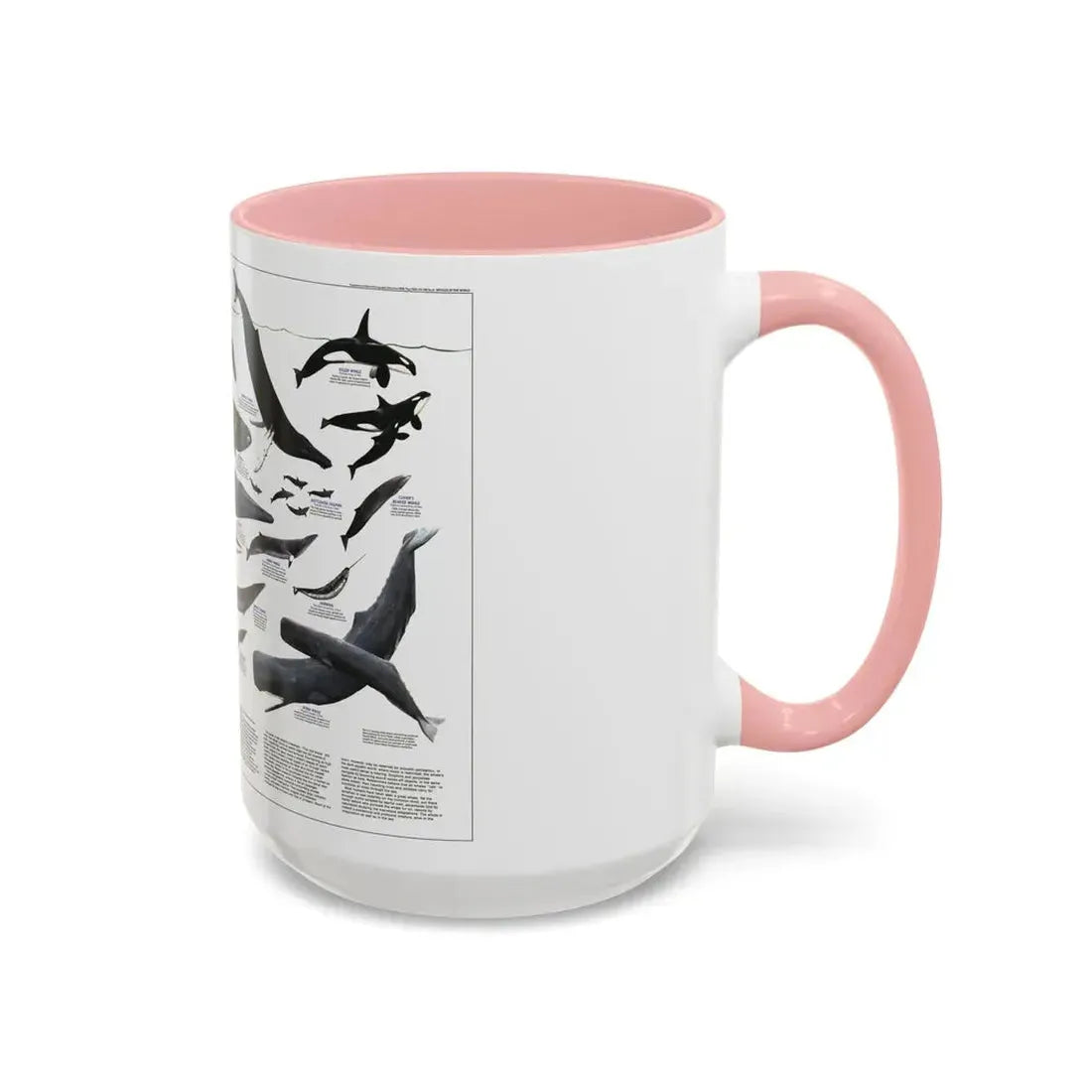 Great Whales of the World (1976) (Map) Accent Coffee Mug - Go Mug Yourself