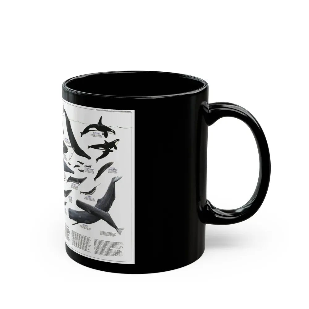 Great Whales of the World (1976) (Map) Black Coffee Mug - Go Mug Yourself