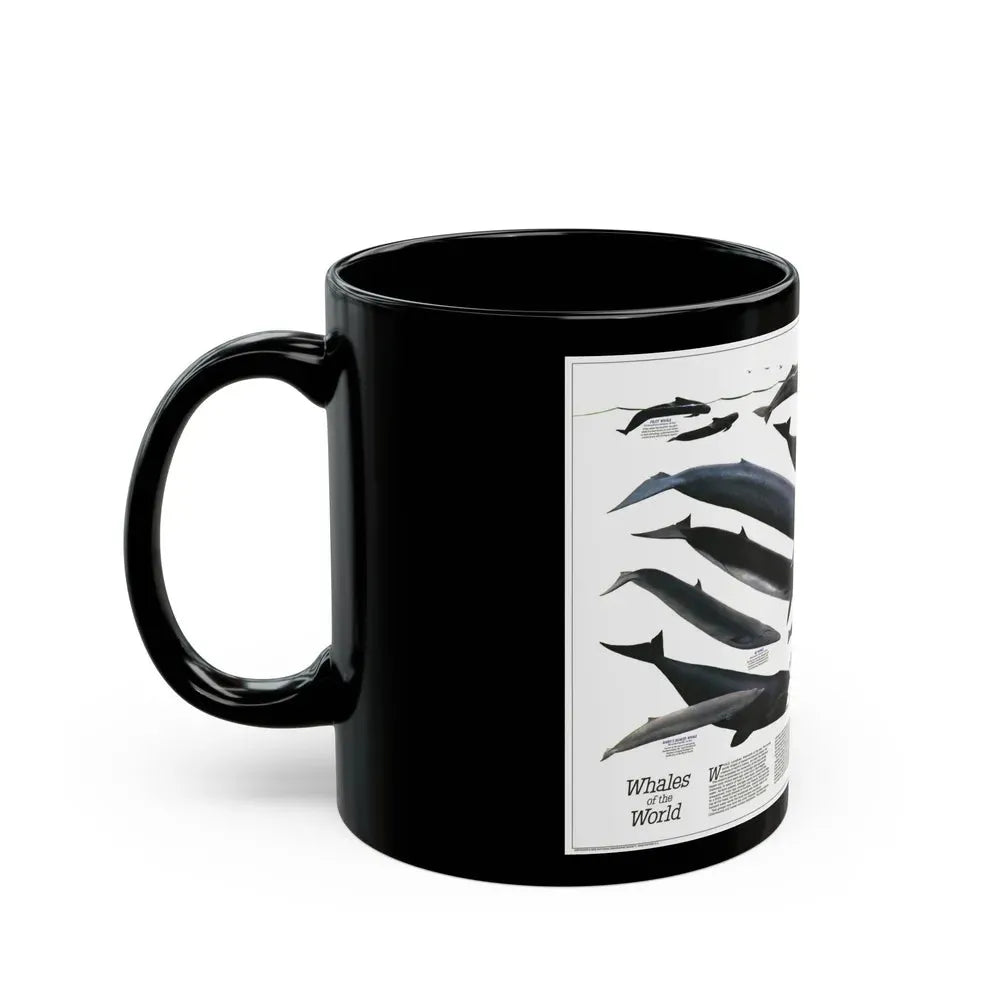 Great Whales of the World (1976) (Map) Black Coffee Mug - Go Mug Yourself