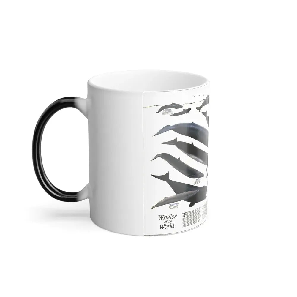 Great Whales of the World (1976) (Map) Color Changing Mug 11oz - Go Mug Yourself