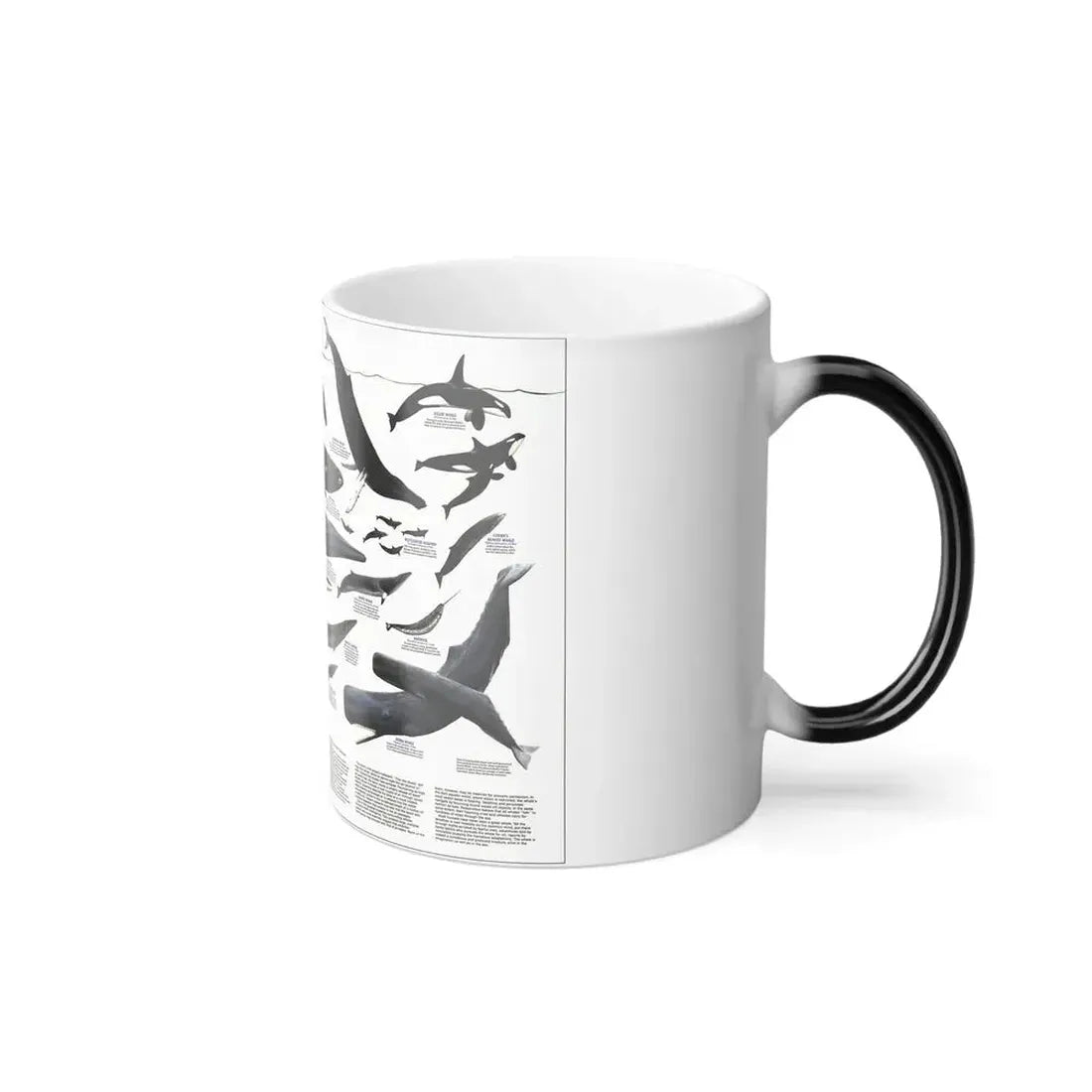 Great Whales of the World (1976) (Map) Color Changing Mug 11oz - Go Mug Yourself