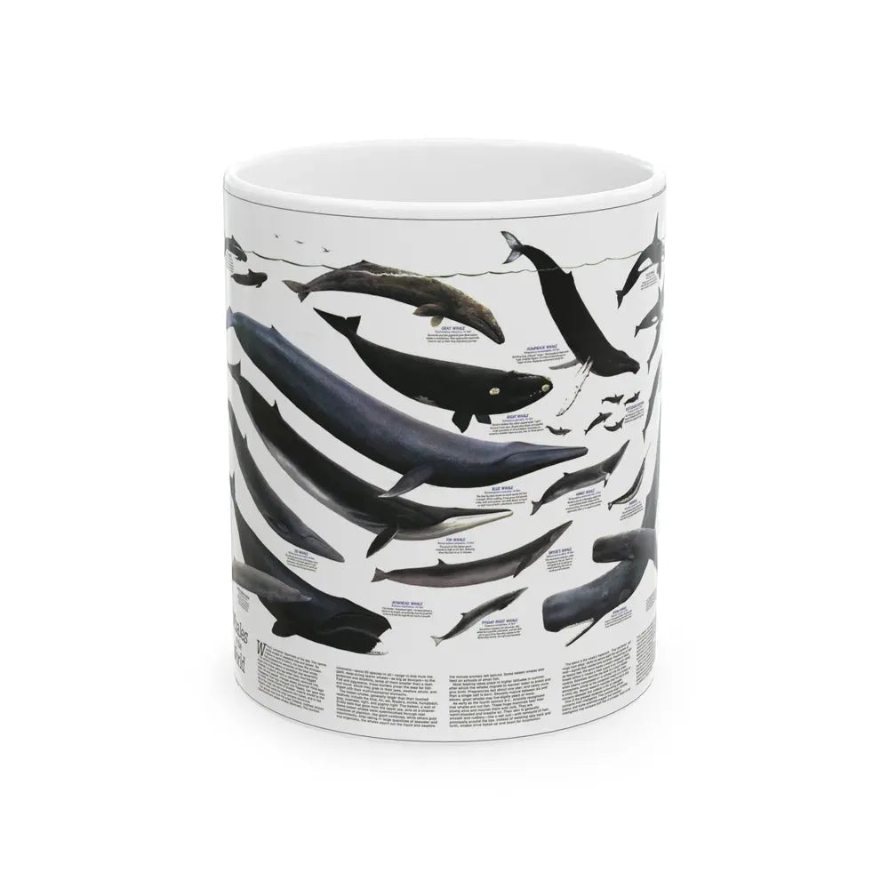 Great Whales of the World (1976) (Map) White Coffee Mug 11oz - Go Mug Yourself