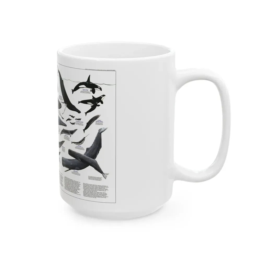Great Whales of the World (1976) (Map) White Coffee Mug - Go Mug Yourself