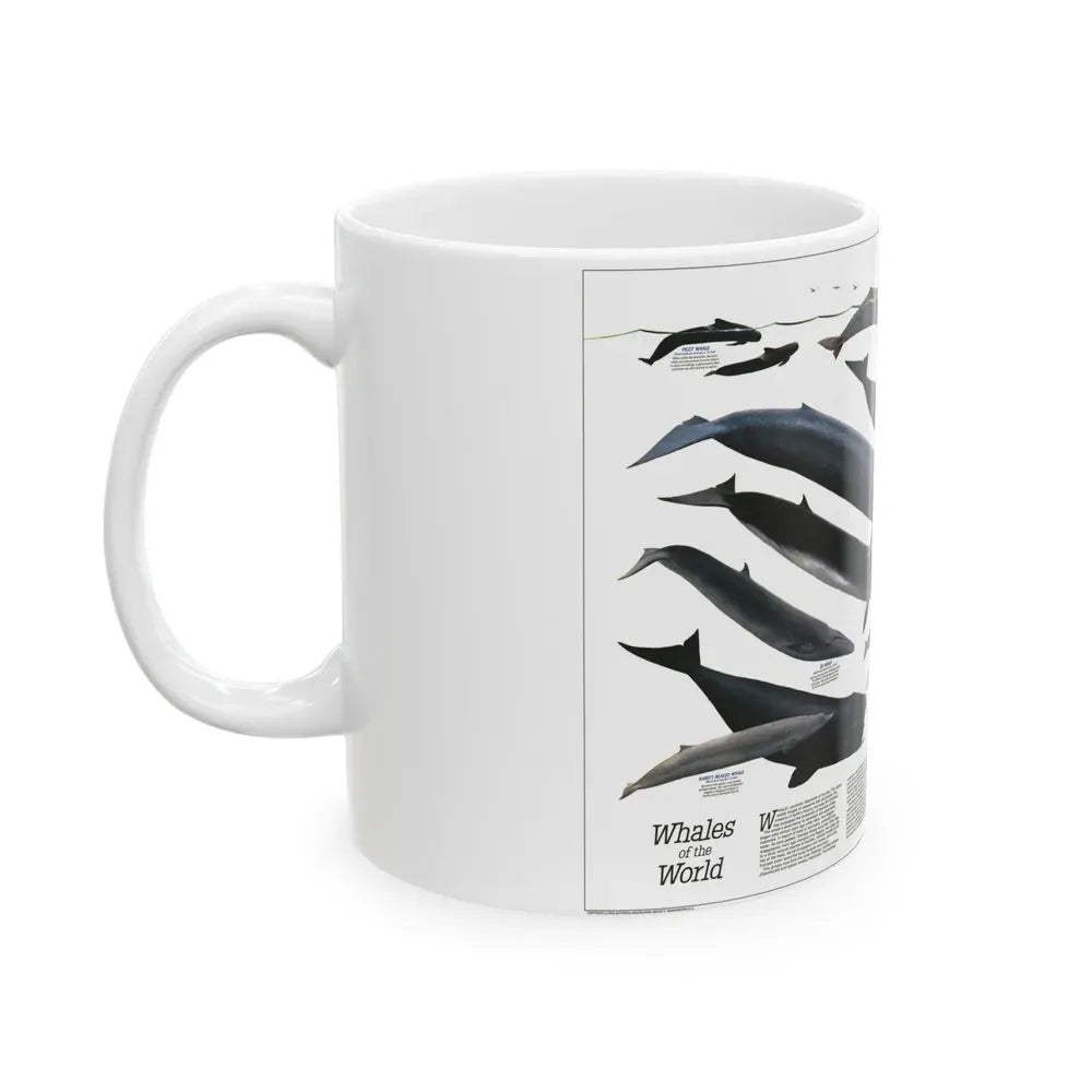Great Whales of the World (1976) (Map) White Coffee Mug - Go Mug Yourself