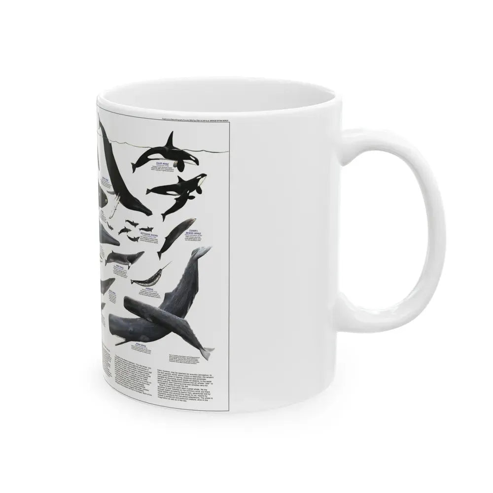 Great Whales of the World (1976) (Map) White Coffee Mug - Go Mug Yourself