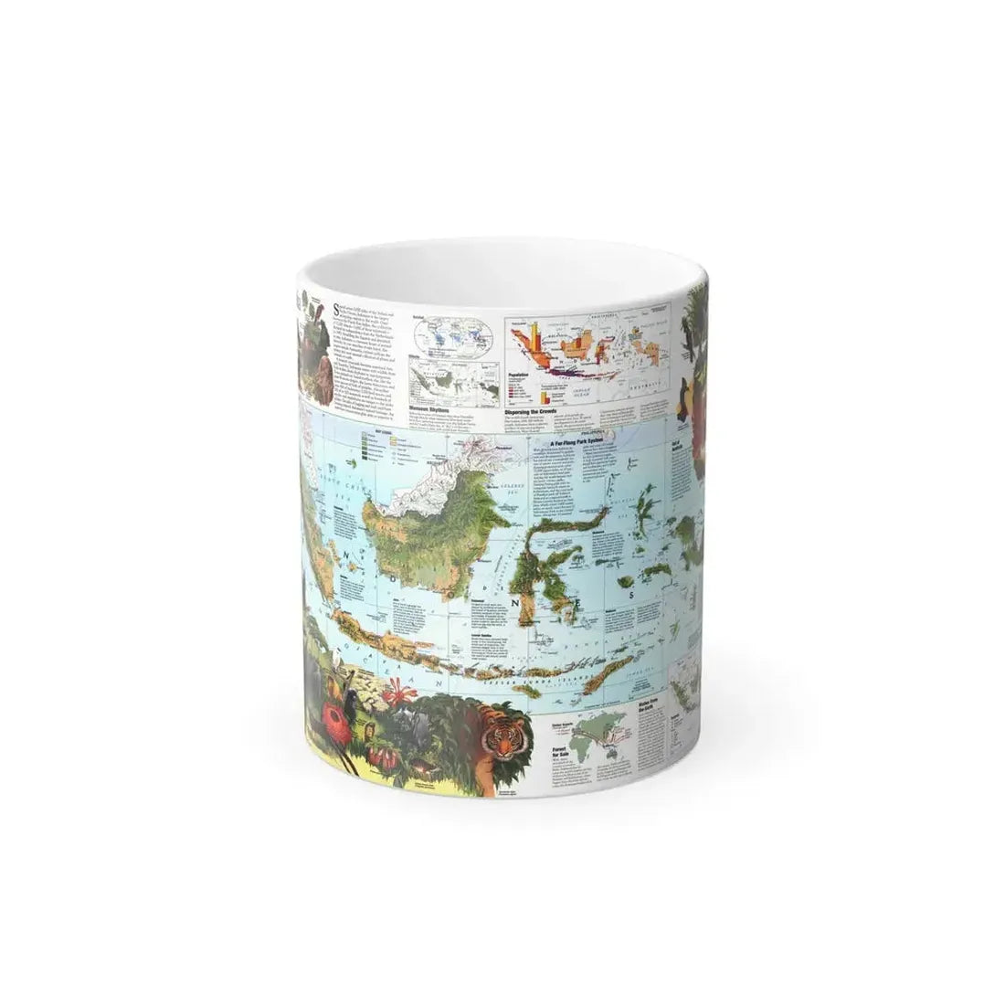 Indonesia 2 (1996) (Map) Color Changing Mug 11oz - Go Mug Yourself