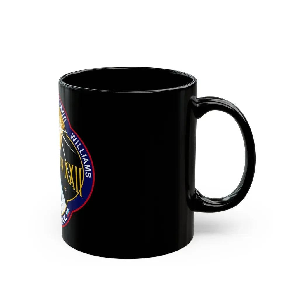 ISS Expedition 22 (NASA) Black Coffee Mug - Go Mug Yourself