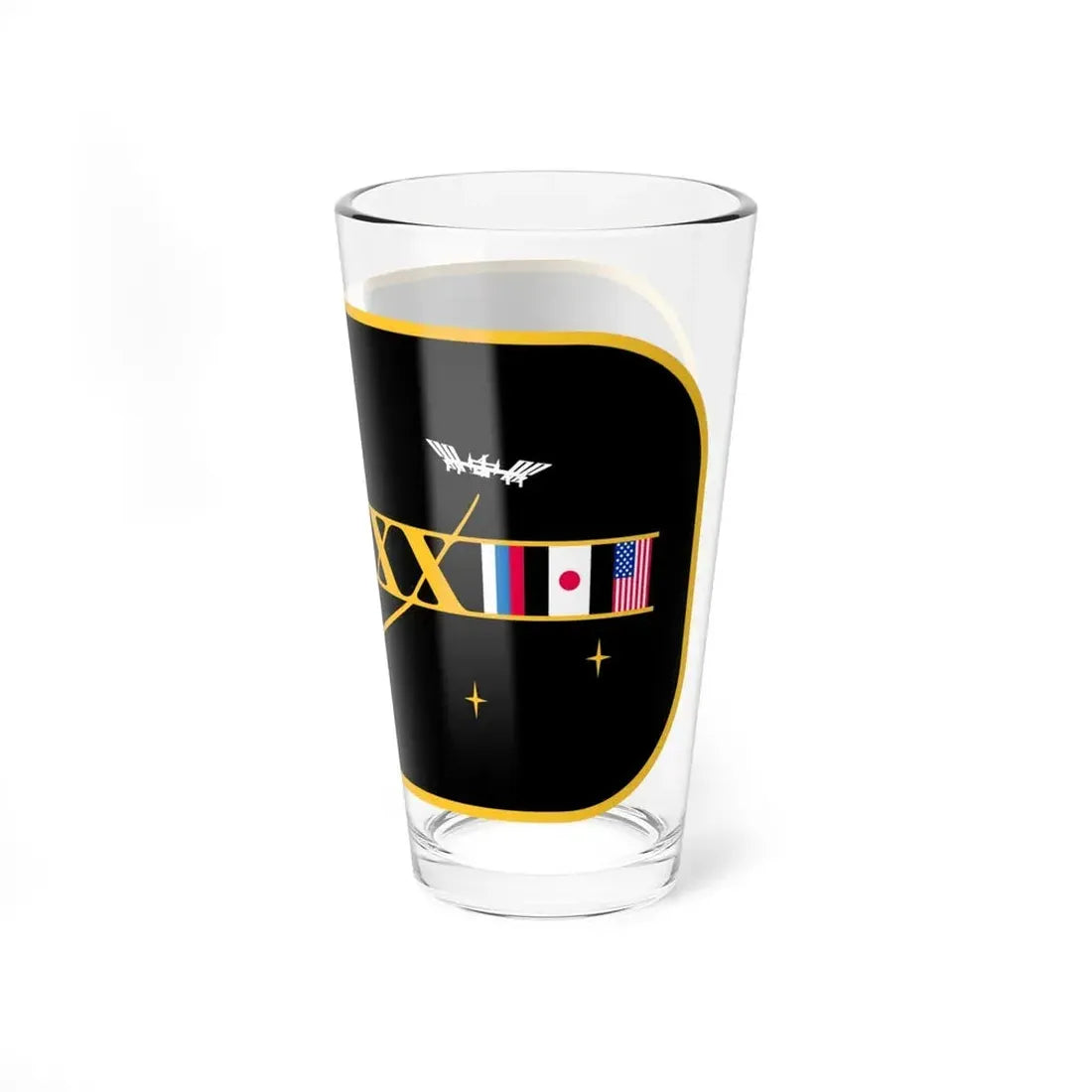 ISS Expedition 23 (NASA) Pint Glass 16oz - Go Mug Yourself
