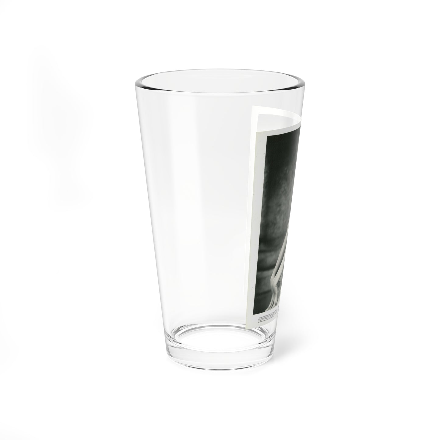 Lori Nelson #197 (Vintage Female Icon) Pint Glass 16oz-Go Mug Yourself