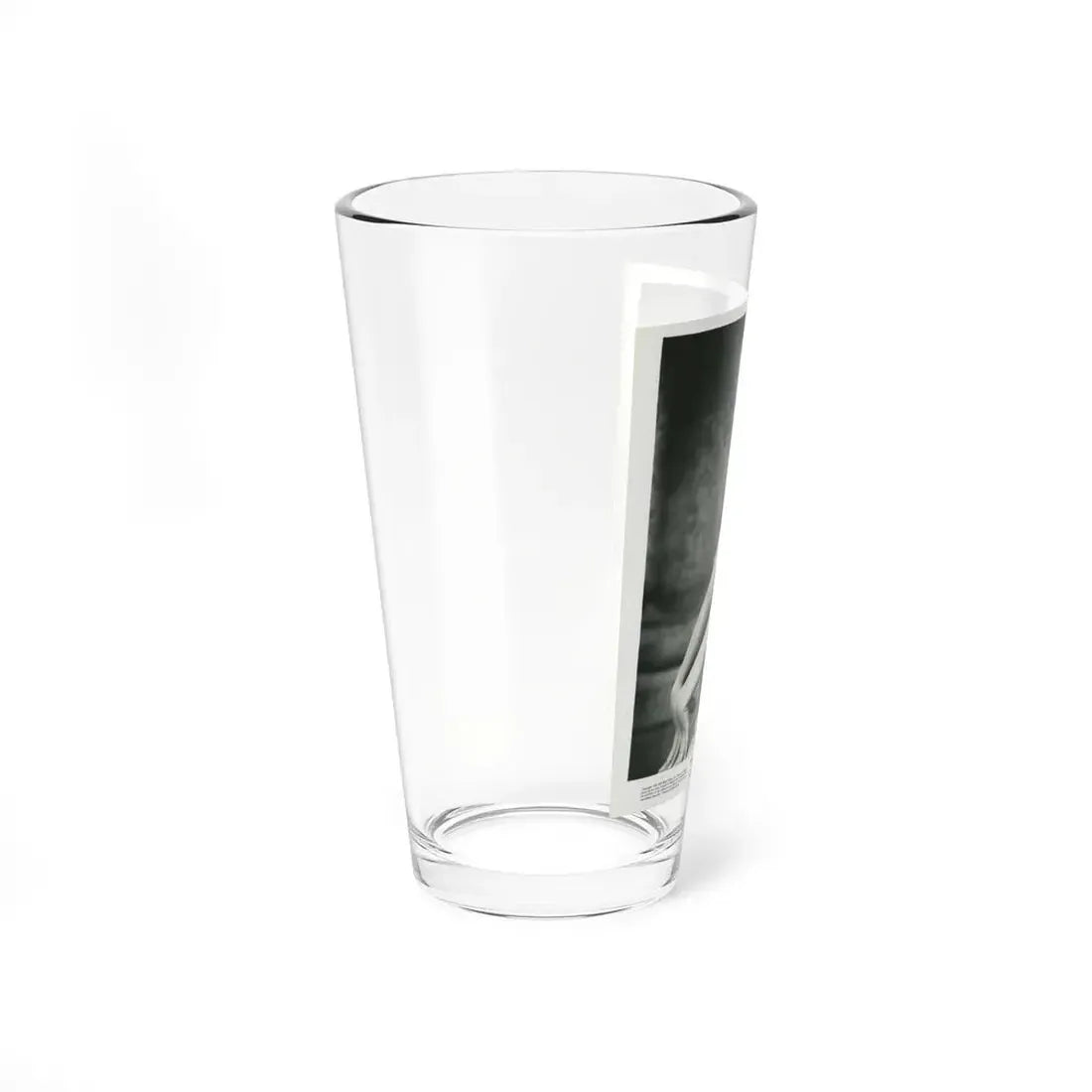 Lori Nelson #197 (Vintage Female Icon) Pint Glass 16oz - Go Mug Yourself
