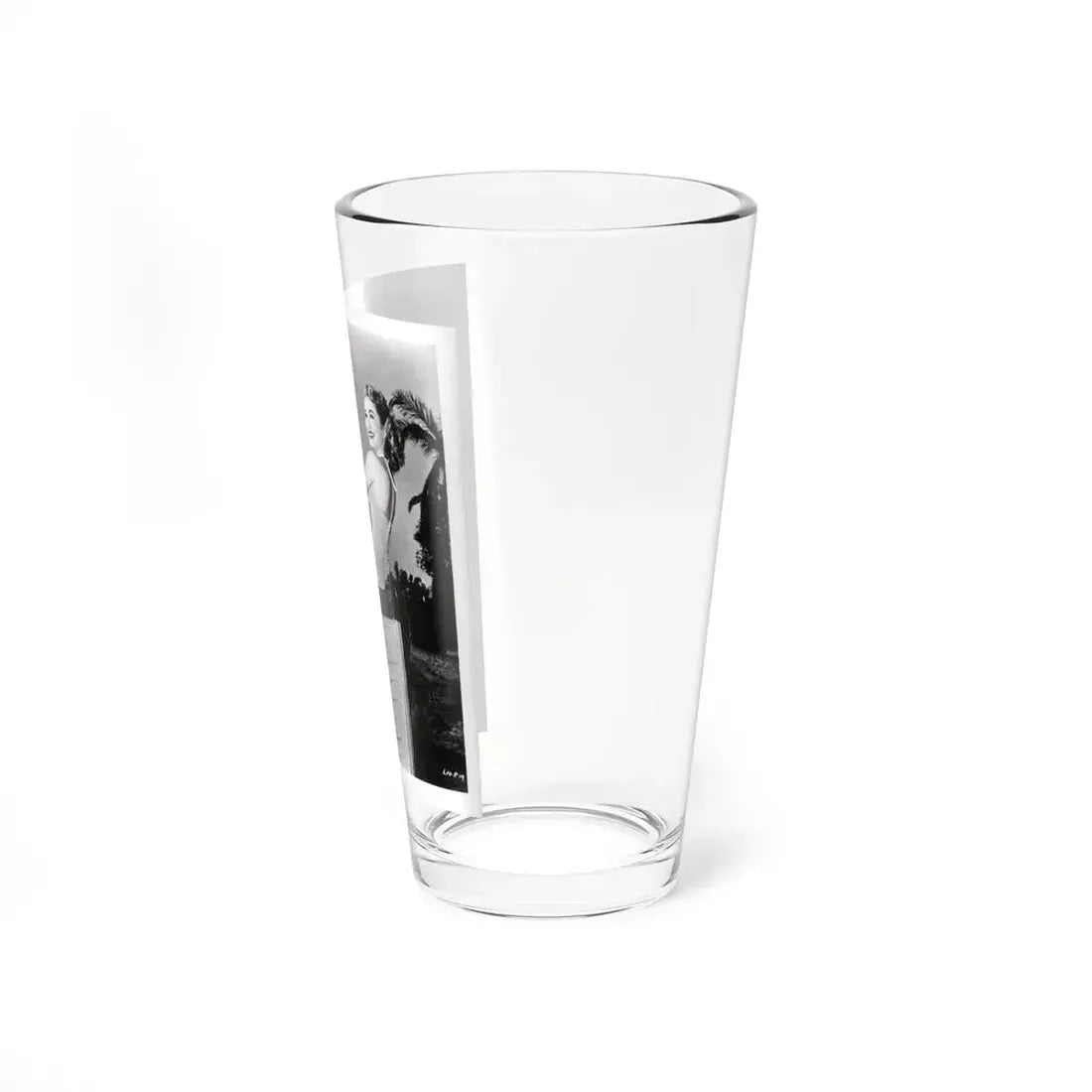 Lori Nelson #231 - Irving Klaw Negative Struck 8x10 1950's 1 Piece Swimsuit Pin-Up Cheesecake Photo (Vintage Female Icon) Pint Glass 16oz - Go Mug Yourself