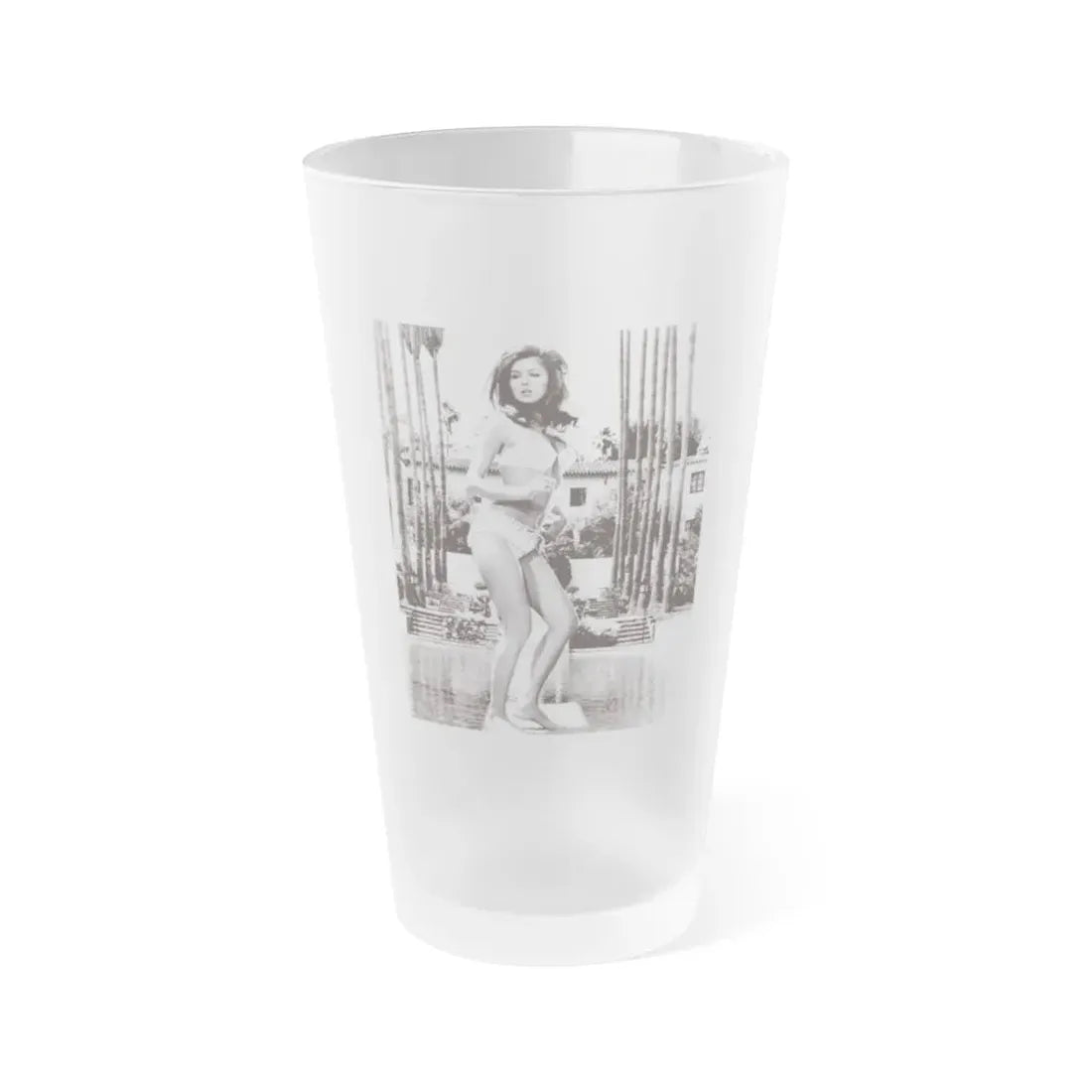Pamela Tiffin #1251 (Vintage Female Icon) Frosted Pint Glass 16oz 16oz Frosted - Go Mug Yourself