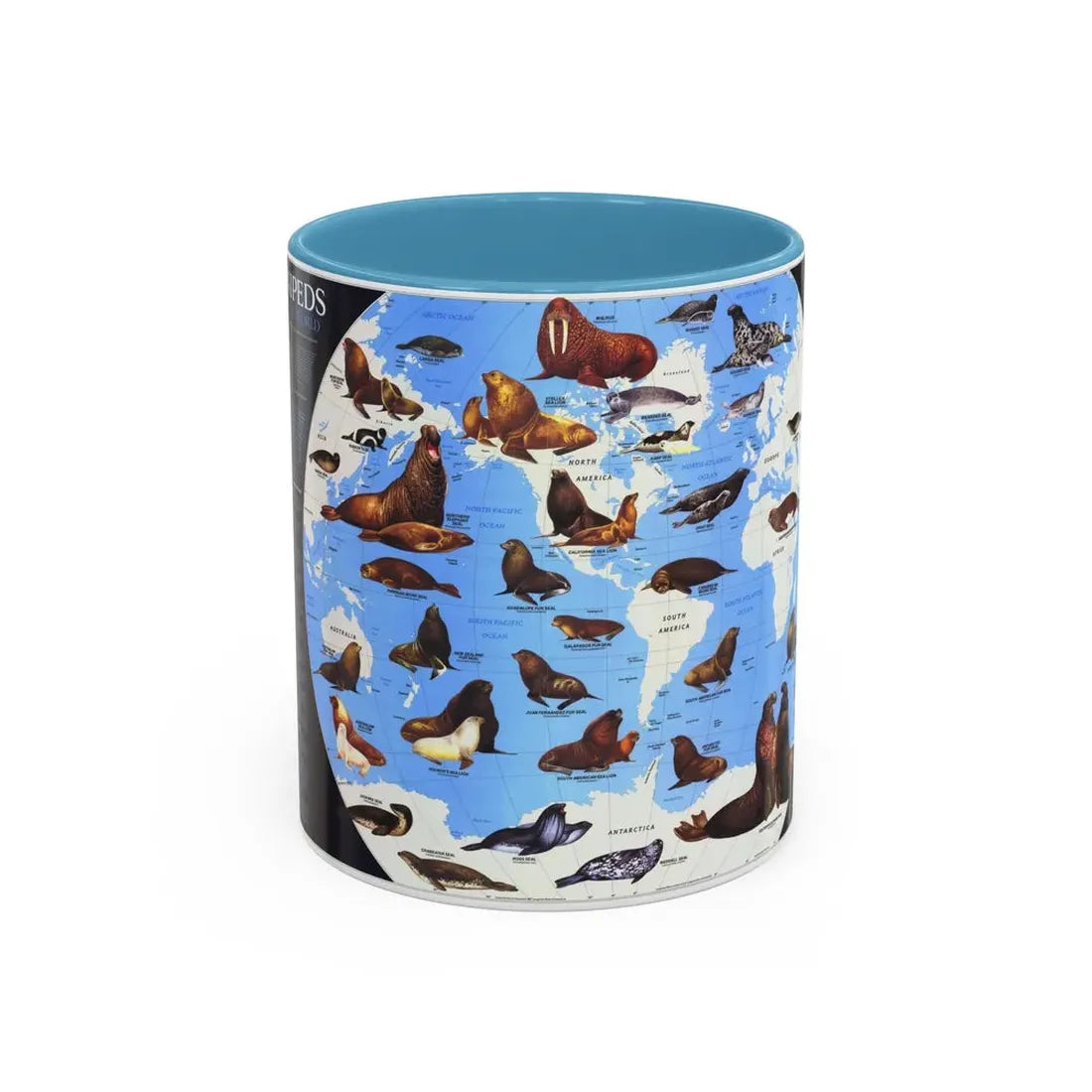 Pinnipeds Around the World (1987) (Map) Accent Coffee Mug 11oz Light Blue - Go Mug Yourself