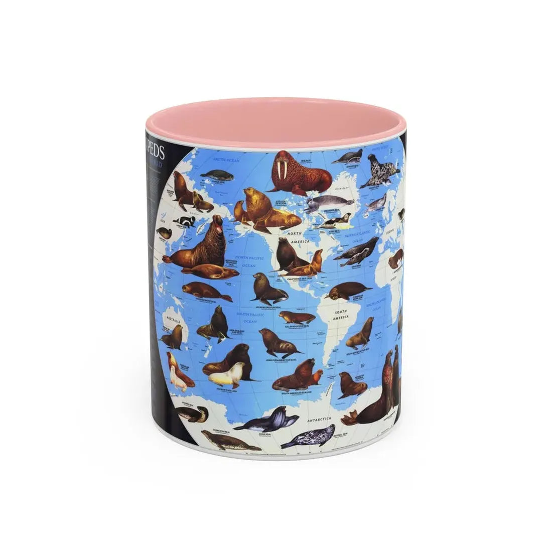 Pinnipeds Around the World (1987) (Map) Accent Coffee Mug 11oz Pink - Go Mug Yourself