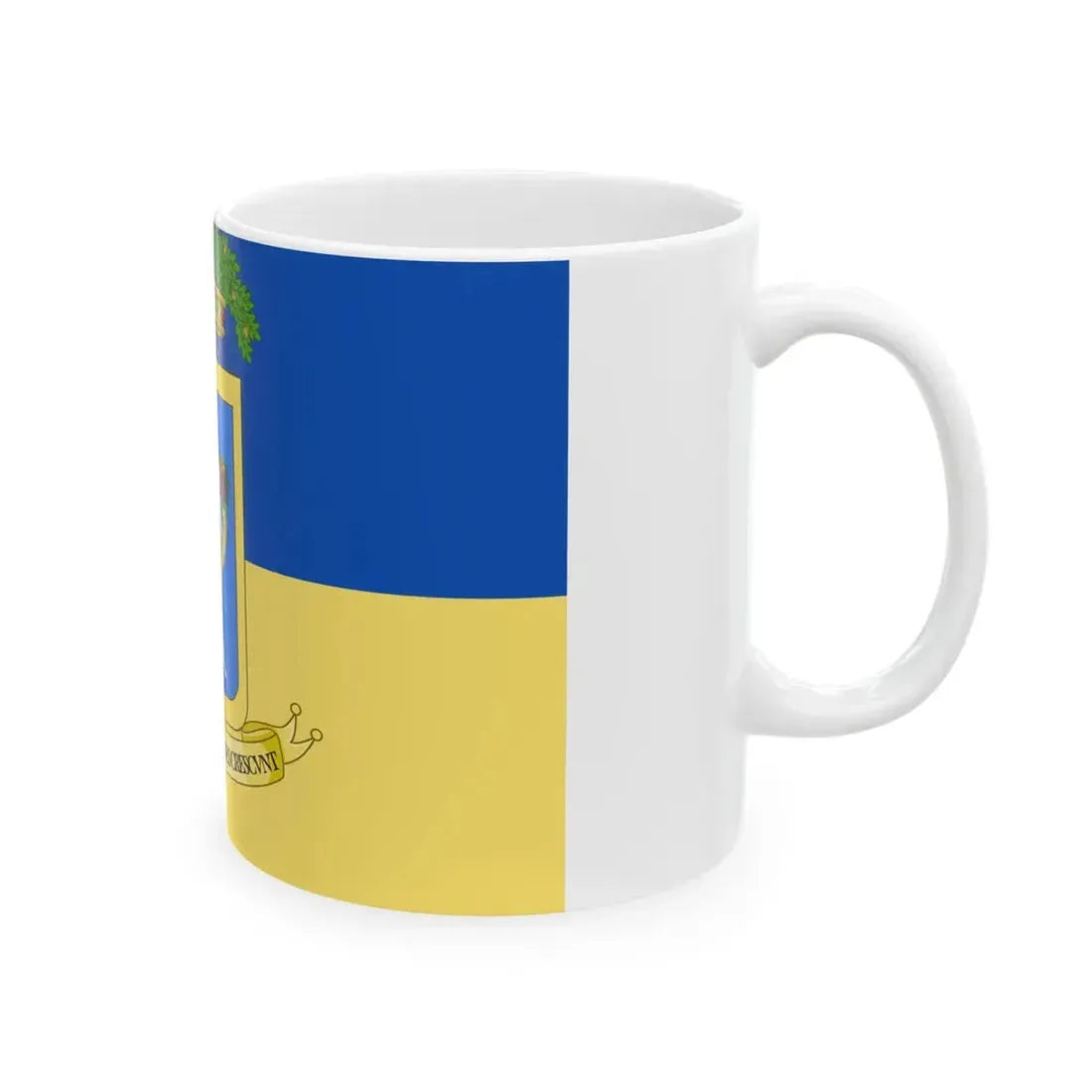Provincia di Pordenone-Bandiera (Italy) White Coffee Mug - Go Mug Yourself