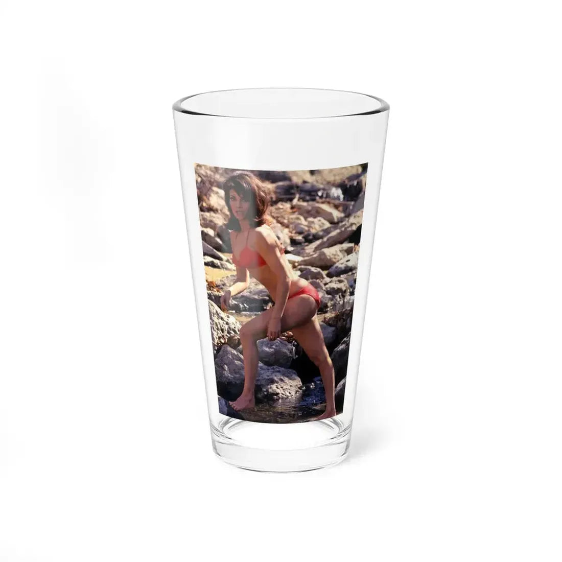 Raquel Welch #385 (Vintage Female Icon) Pint Glass 16oz 16oz - Go Mug Yourself